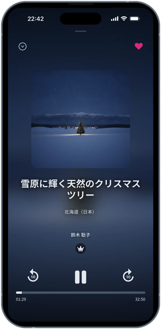 再生画面：雪原に輝く天然のクリスマスツリー（北海道）
